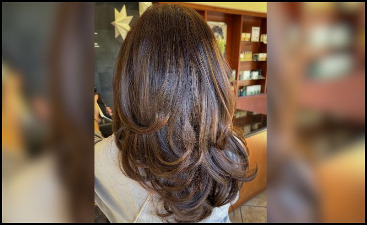 2. Mid-Back Brown U-Cut with Swoopy Layers